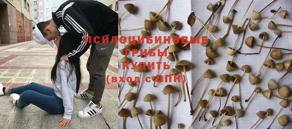 соль курить ск Горнозаводск