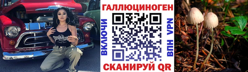 купить наркоту  Добрянка  Псилоцибиновые грибы Cubensis 