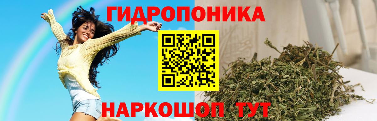 Марихуана гибрид Добрянка